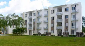Olivos J8 - Image 4