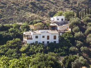 Francisco - Image 2