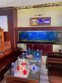 Phương Anh 7- Only accept Vietnamese customers - Image 3