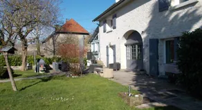 Les Petunias - Image 3