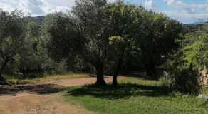 Casa Orecchioni - Image 3