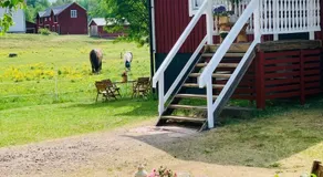 Super cosy cottage in heart of Dalarna - Image 5