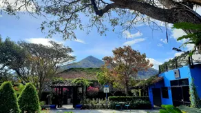 Private Villa by Doctor Coffee - Image 3