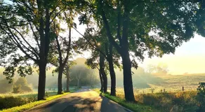 Monteurzimmer Usedom - Image 3
