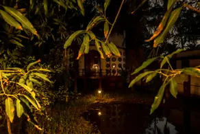 Eden Garden By Cliff Way - Image 5