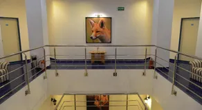 Motel Carmen - Image 3