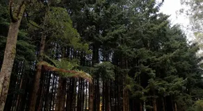 River Haven Tiny House by Tiny Away - Image 5