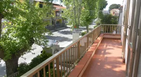 Donna Rosa - Image 5