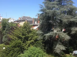 La Résidence de l'Orangerie - Image 3