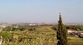 La Corte di Nonno - Image 5
