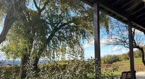 Ferienwohnung auf dem Weingut am Klotz - Image 5