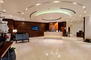 Olive Downtown - Image 5