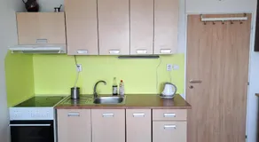 Apartmán v podhůří Krušných hor - Image 4
