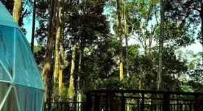 The Edens Glamp Munnar - Image 4