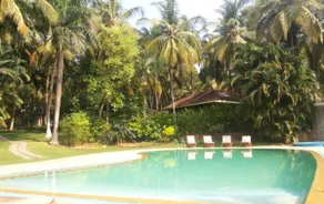 Kairali - The Ayurvedic Healing Village - Image 3