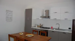 Koala - Image 2