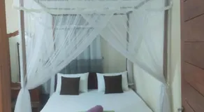 Lasindu Guest - Image 2