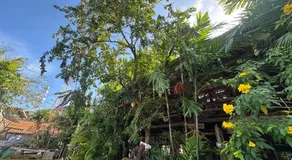 Tan Homestay - Image 5