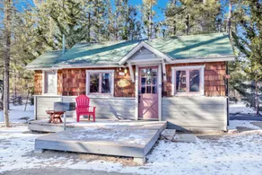 Big pines #103 - Image 5