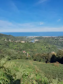 Elit Bungalov - Image 5