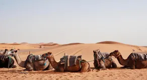 Merzouga Desert Dreams - Image 3