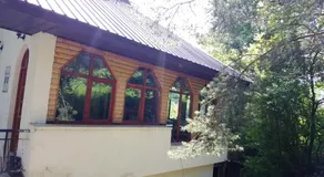 Pandora - Image 3