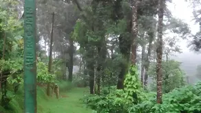 Young Island Coorg - Image 3
