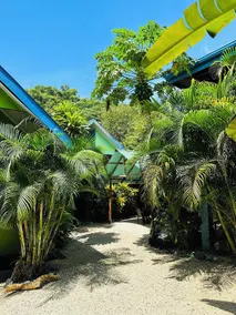 Surf Paradise - Image 3