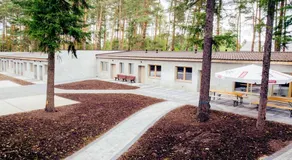 Borowik Milicz - Image 4