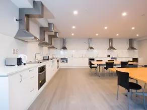 Park Ave Residence - Image 5