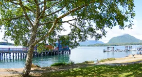 Island Village Properties at Fred Tibbs - Image 4