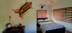 Noah's Nest Tree House - Image 3
