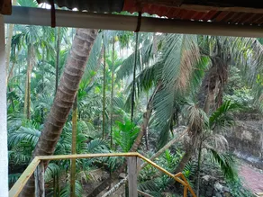 Parvati Niwas Homestay -5 Mins walking frm Revdanda Beach & Fort - Huge Monsoon offer - Image 5