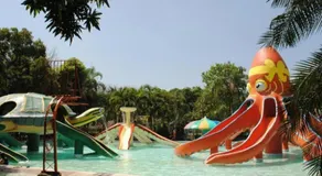 DJ Paradise Hotel - Image 3