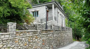 Salvia - Image 5