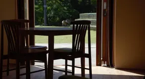 Mountain Home Lodge in Deer Park - Image 5
