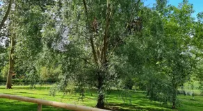 The Duck - Free Fishing, pets welcome - static caravan in Clare, Suffolk - Image 3