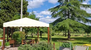 Podere Radici - Room & Breakfast - Image 5