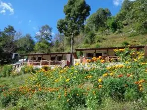Solid Rock - Lodge & Restaurant - Image 3