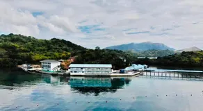 Coron Underwater Garden Resort - Image 2