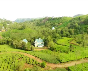 Lavender Plantation Stay vagamon - Image 5