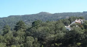 Hospedaria Descansa Pernas - Image 4
