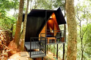 Garden of eden-Thottam - Image 5