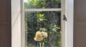 Vista Bliss - Image 5