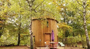 Le Coeur De La Foret - Image 5