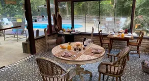 Havilá Arara Azul - Image 4
