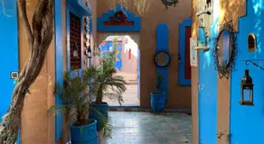 Riad Dades Birds - Image 5