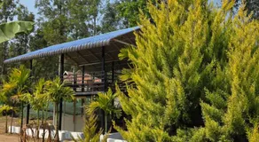 Mistys Homestay Chikmagalur - Image 4