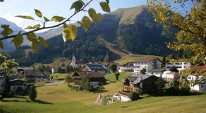 Tanneck Garni - Image 4