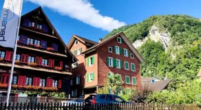 Bio Bed & Breakfast Froschkönig - Image 3